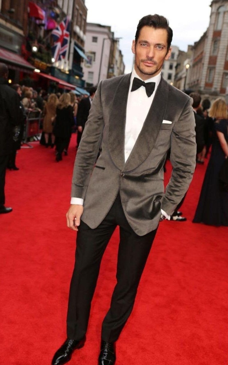 memory making moments: 🌿 Gray Velvet Dinner Jacket for Stylish Holiday Gathering 847