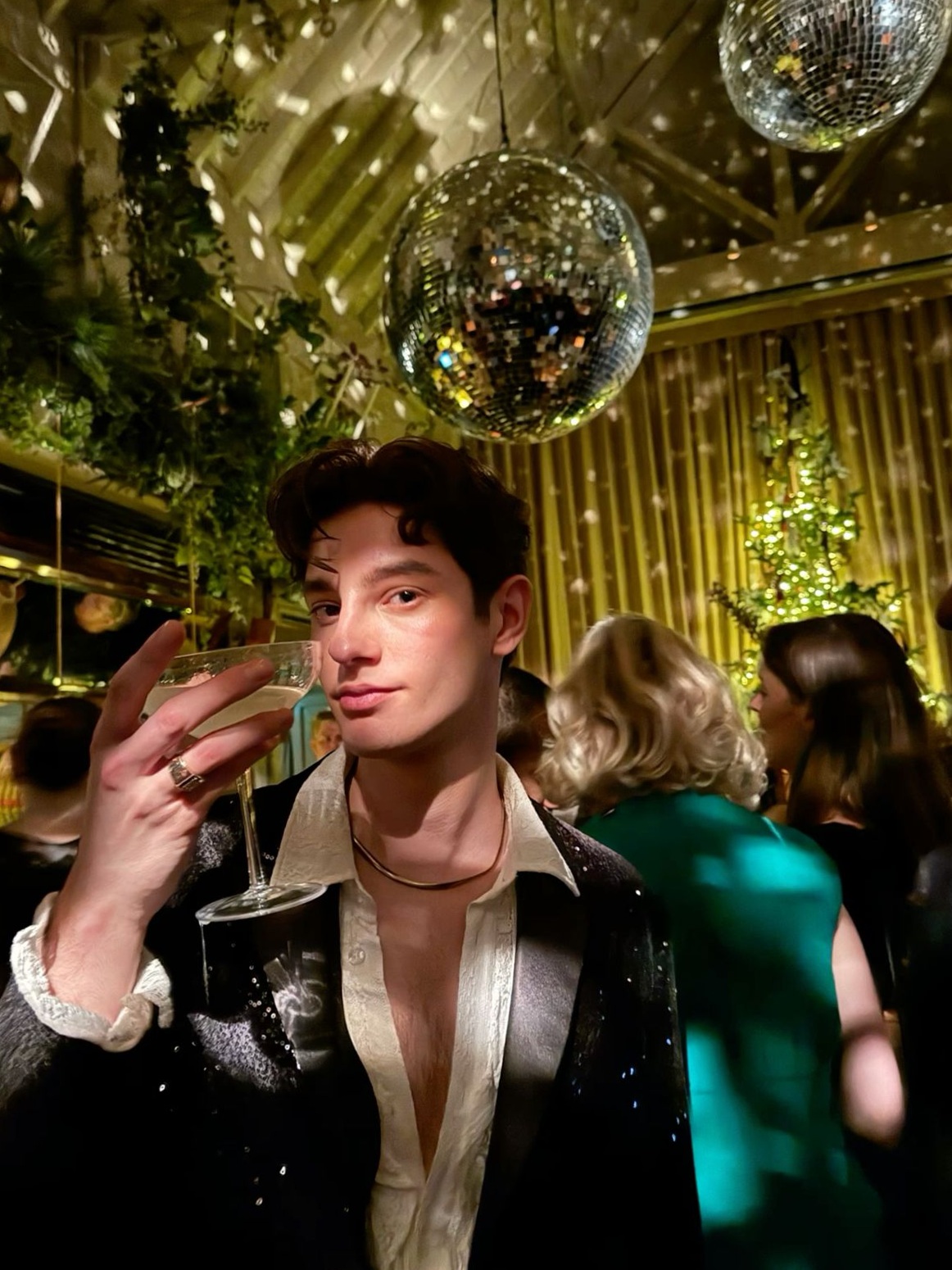 🌵 🍃 Neon Gatsby Dreams in Velvet Glow | visual vocabulary 391