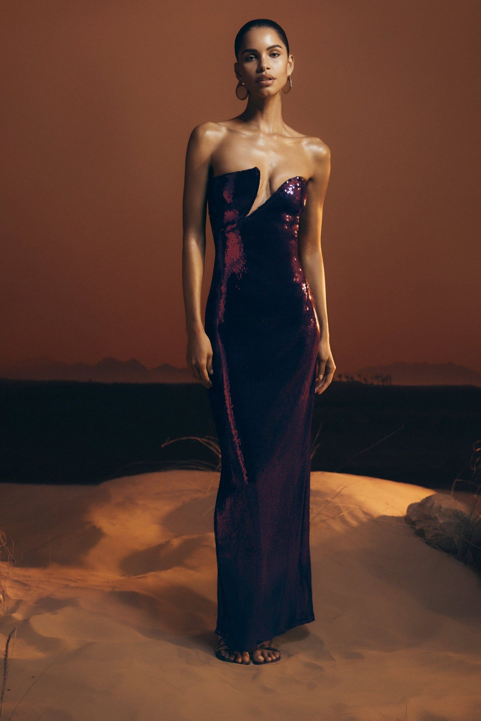 🌼 | Neon Glow Vintage Maxi Dress in Plum | art direction inspiration 564