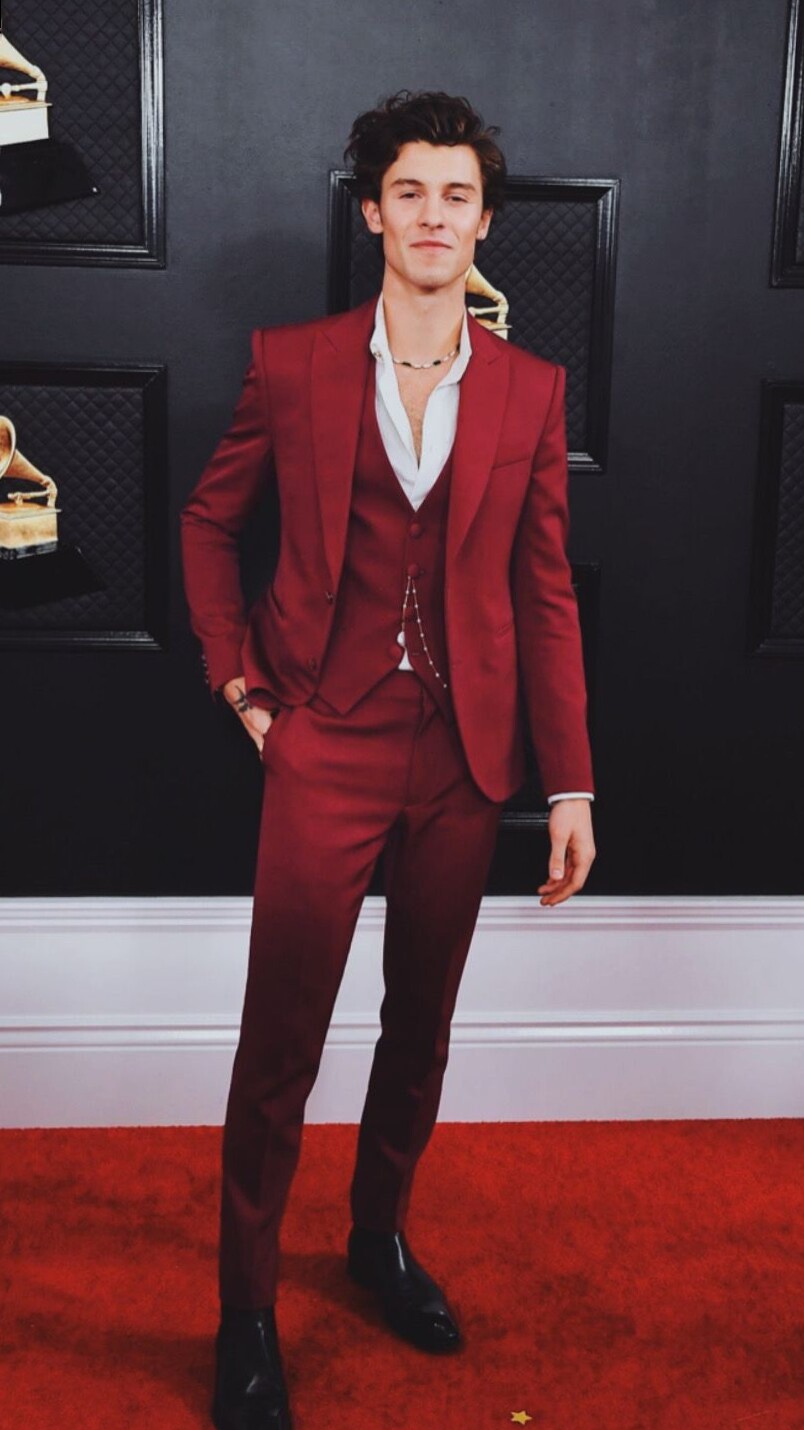 🚗 🗺️ ✈️ Shawn Mendes Neon Dreams in Vintage Glam 435